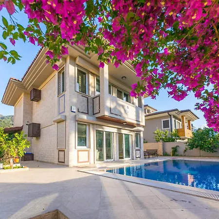 Mo Daily Weekly Icmeler Marmaris